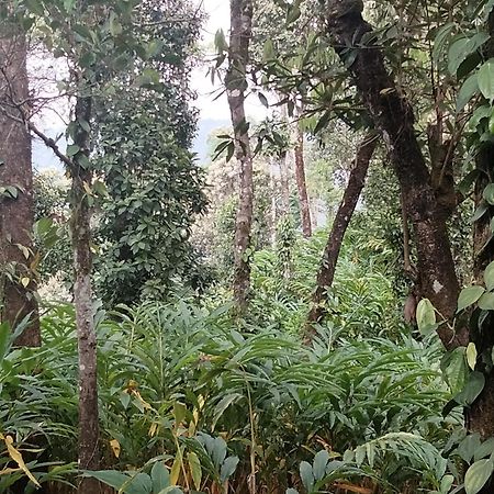 Spice Green Residency Pīrmed Εξωτερικό φωτογραφία